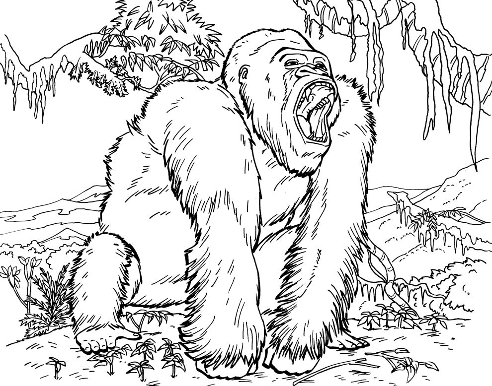 Plansa de colorat cu Gorilla 30 24